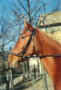Obrázok